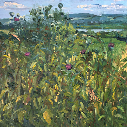 Nettles and Thistles, June 2018 by Stuart Nurse